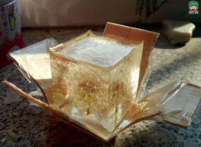 如何制作蒲公英树脂标本的详细图解